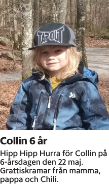 Hipp Hipp Hurra för Collin på 6-årsdagen den 22 maj.Grattiskramar från mamma, pappa och Chili.
Smålandsposten

Publiceringsdag: 20230523
Uppdaterad: 2023-05-19 07:54:27