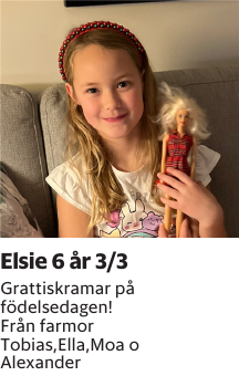 Grattiskramar på födelsedagen!Från farmorTobias,Ella,Moa o Alexander
Blekinge läns Tidning

Publiceringsdag: 20250303
Uppdaterad: 2025-02-26 07:53:13