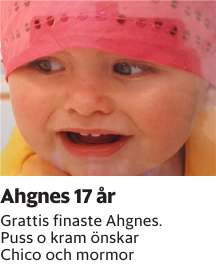 Grattis finaste Ahgnes. Puss o kram önskar Chico  och mormor
Blekinge läns Tidning

Publiceringsdag: 20250308
Uppdaterad: 2025-03-03 09:37:37