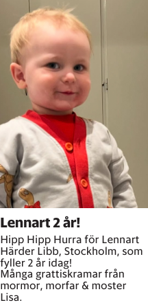 Hipp Hipp Hurra för Lennart Härder Libb, Stockholm, som fyller 2 år idag! Många grattiskramar från mormor, morfar & moster Lisa.
Smålandsposten

Publiceringsdag: 20250312
Uppdaterad: 2025-03-10 09:42:14