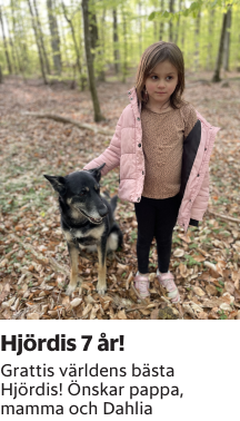 Grattis världens bästa Hjördis! Önskar pappa, mamma och Dahlia
Blekinge läns Tidning

Publiceringsdag: 20250613
Uppdaterad: 2025-06-10 10:05:24
