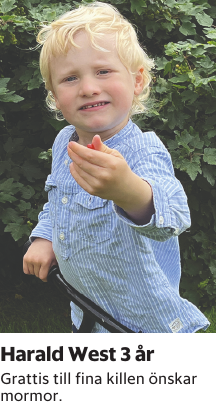 Grattis till fina killen önskar mormor.
Borås Tidning

Publiceringsdag: 20250727
Uppdaterad: 2025-06-26 13:50:06