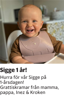 Hurra för vår Sigge på 1-årsdagen!Grattiskramar från mamma, pappa, Inez & Kroken
Barometern-Ot

Publiceringsdag: 20251008
Uppdaterad: 2025-10-06 08:30:23
