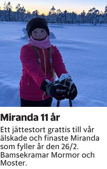 Ett jättestort grattis till vår älskade och finaste Miranda som fyller år den 26/2.Bamsekramar Mormor och Moster.
Borås Tidning

Publiceringsdag: 20260226
Uppdaterad: 2026-02-16 08:36:22