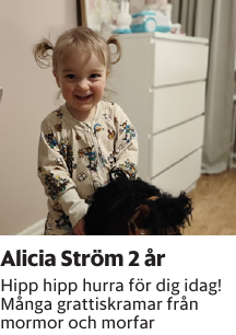 Hipp hipp hurra för dig idag! Många grattiskramar från mormor och morfar 
Borås Tidning

Publiceringsdag: 20260226
Uppdaterad: 2026-02-23 08:45:30