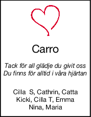 Carro
Tack för all glädje du givit oss
Du finns för alltid i våra hjärtan
Cilla  S, Cathrin, Catta
Kicki, Cilla T, Emma
Nina, Maria
